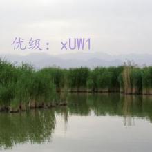 ˫