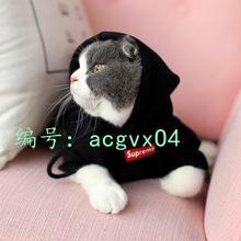 ĭ