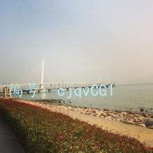 ʶ